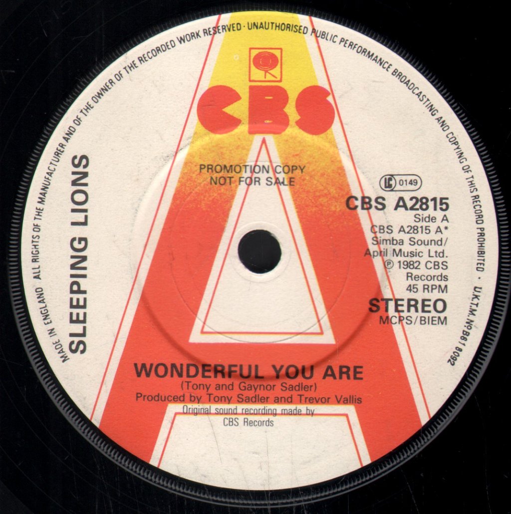 Sleeping Lions - Wonderful You Are - 7 Inch