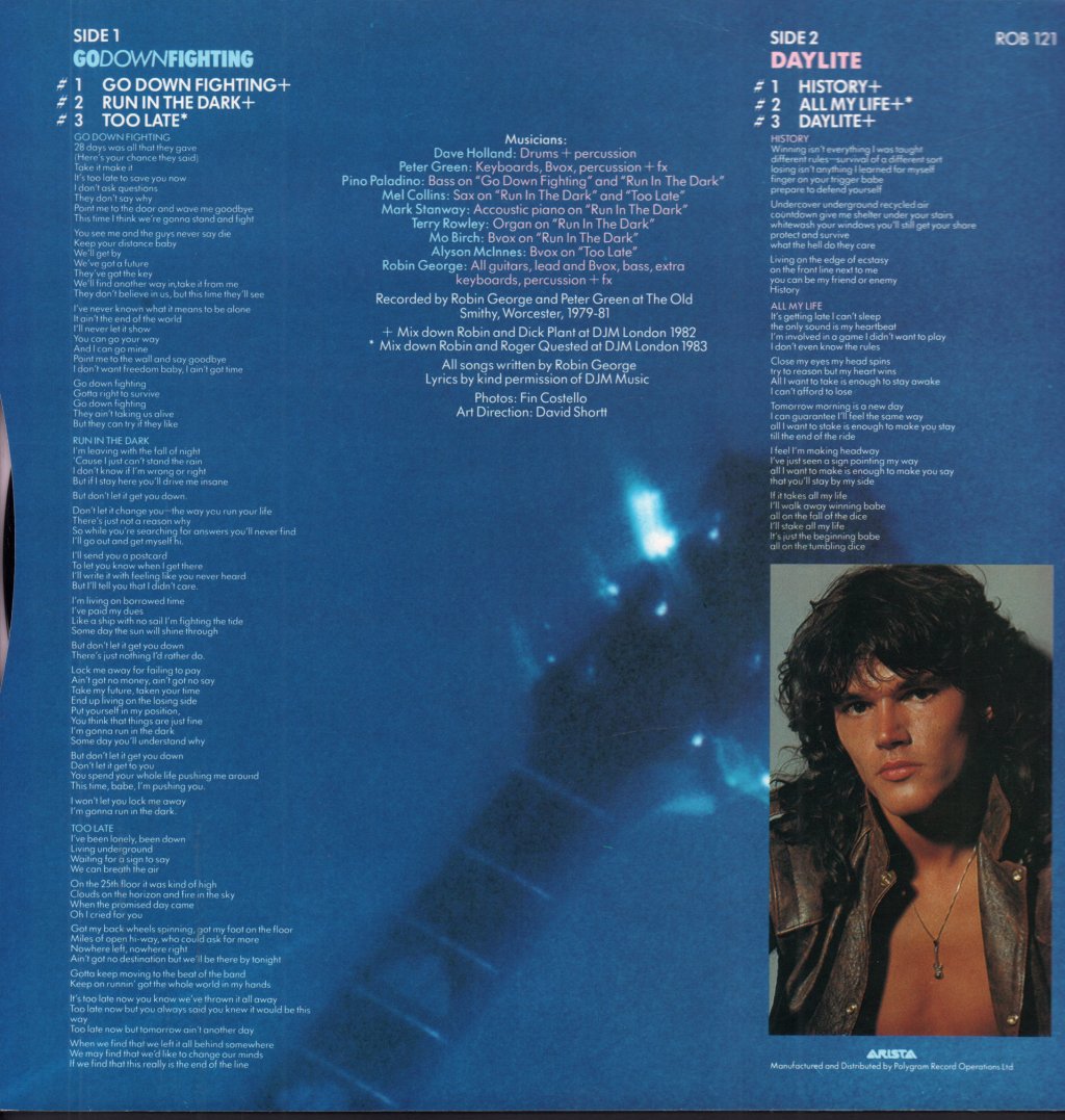 Robin George - Go Down Fighting - 12 Inch