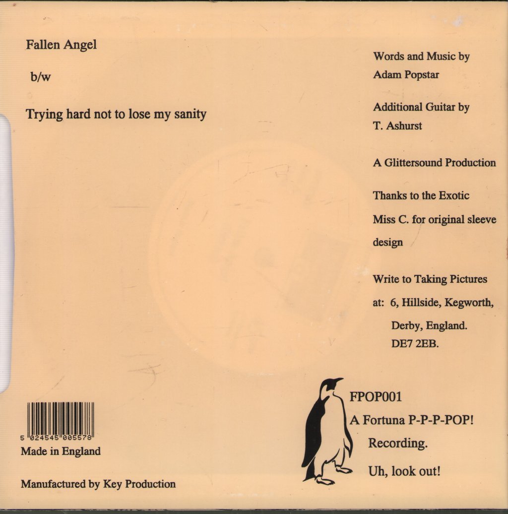 Taking Pictures - Fallen Angel - 7 Inch