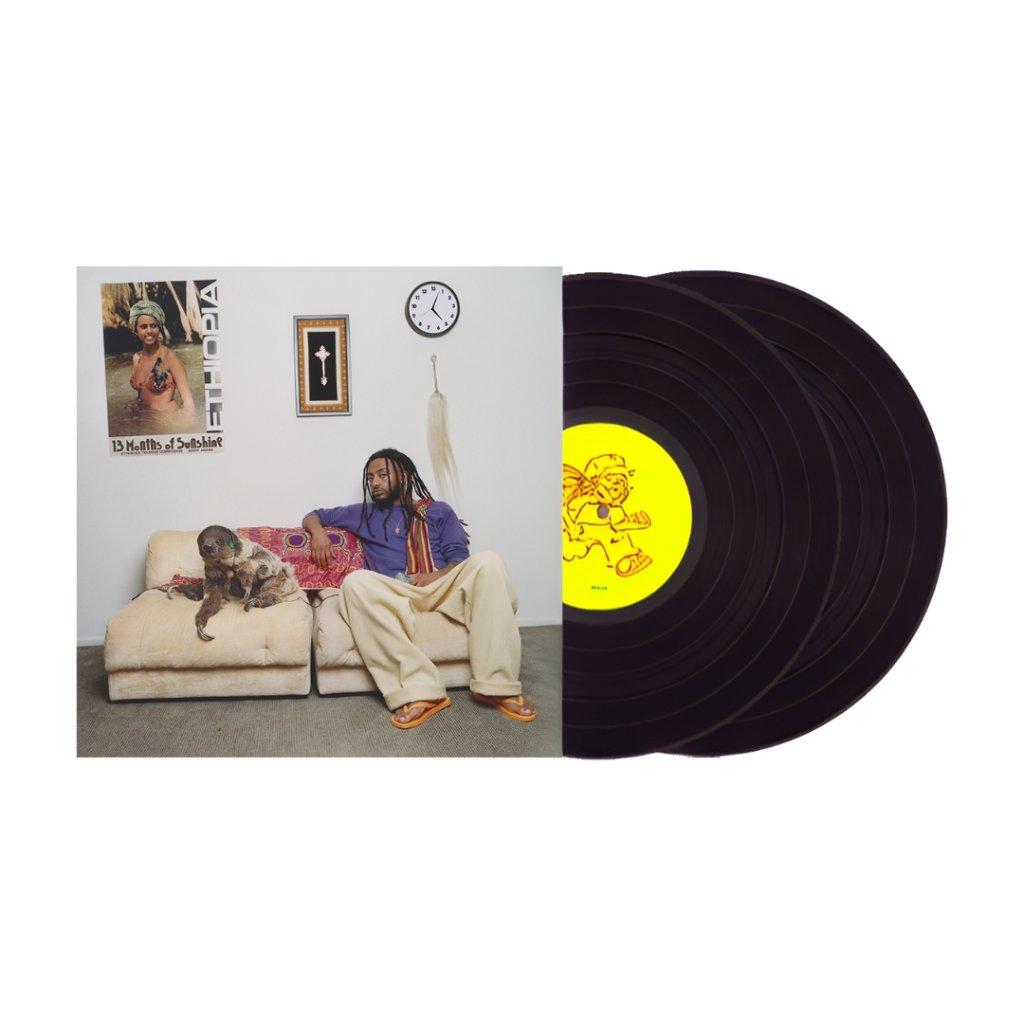 Amina - 13 Months of Sunshine - Double Lp
