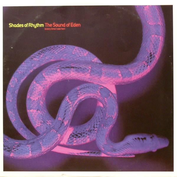 Shades Of Rhythm - Sound Of Eden (Every Time I See Her) - 12 Inch