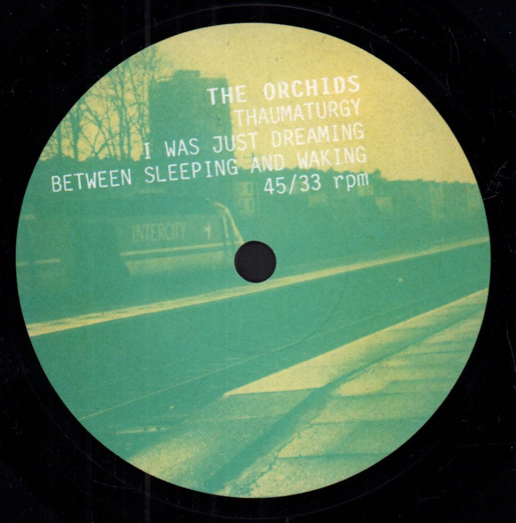 Orchids (Indie Group) - Thaumaturgy - 7 Inch