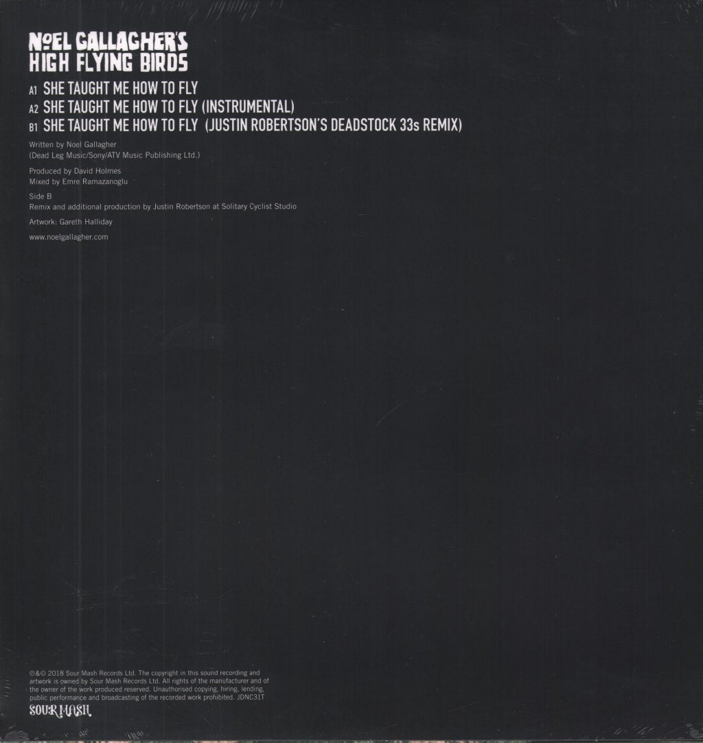 Noel Gallagher's High Flying Birds - She Taught Me How To Fly - 12 Inch
