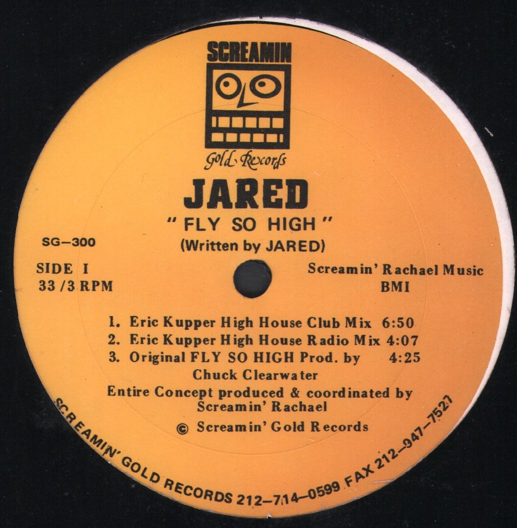 Jared - Fly So High - 12 Inch