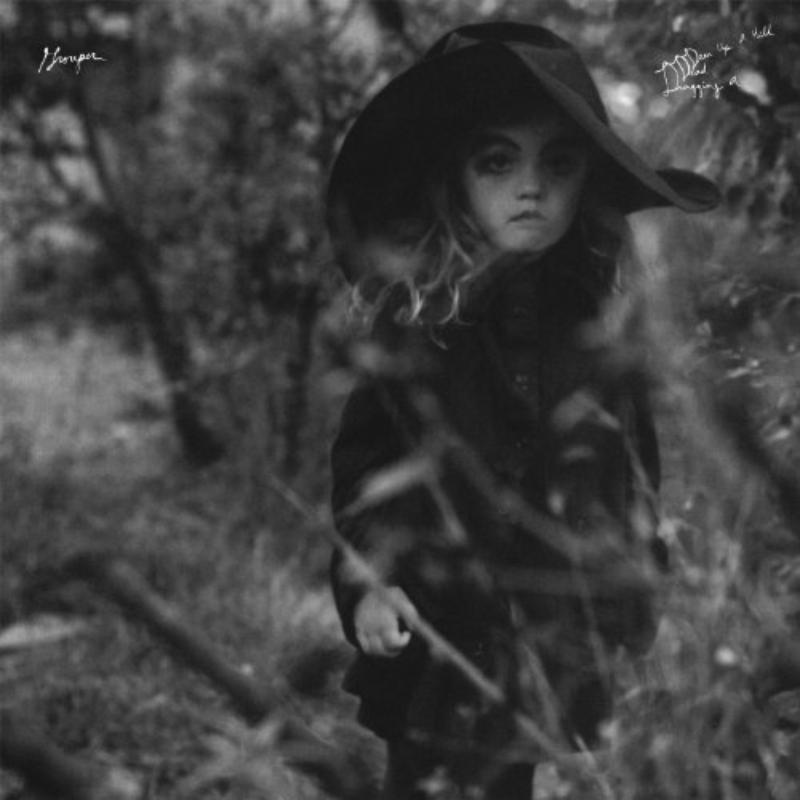 Grouper - Dragging A Dead Deer Up A Hill - Cd