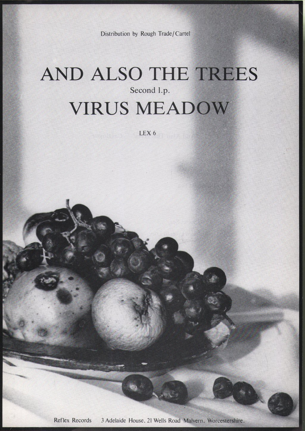 And Also The Trees - Virus Meadow - Flyer