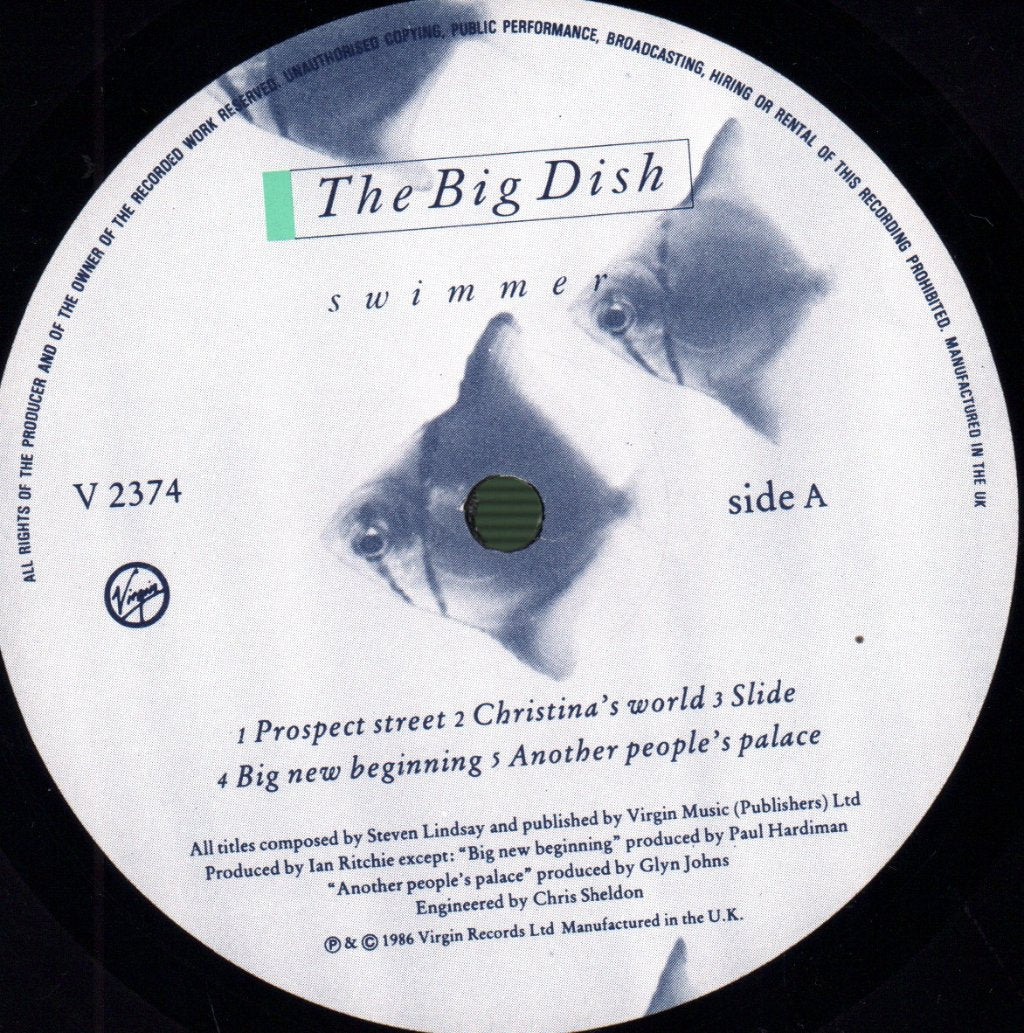 Big Dish - Swimmer - Lp
