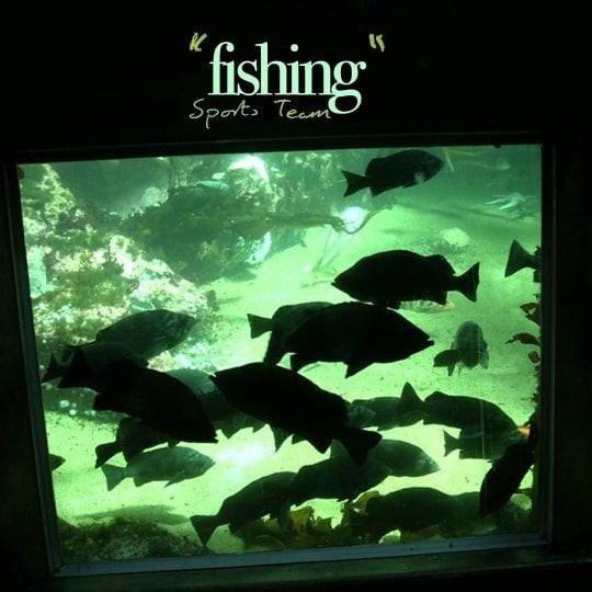 Sports Team - Fishing - 7 Inch