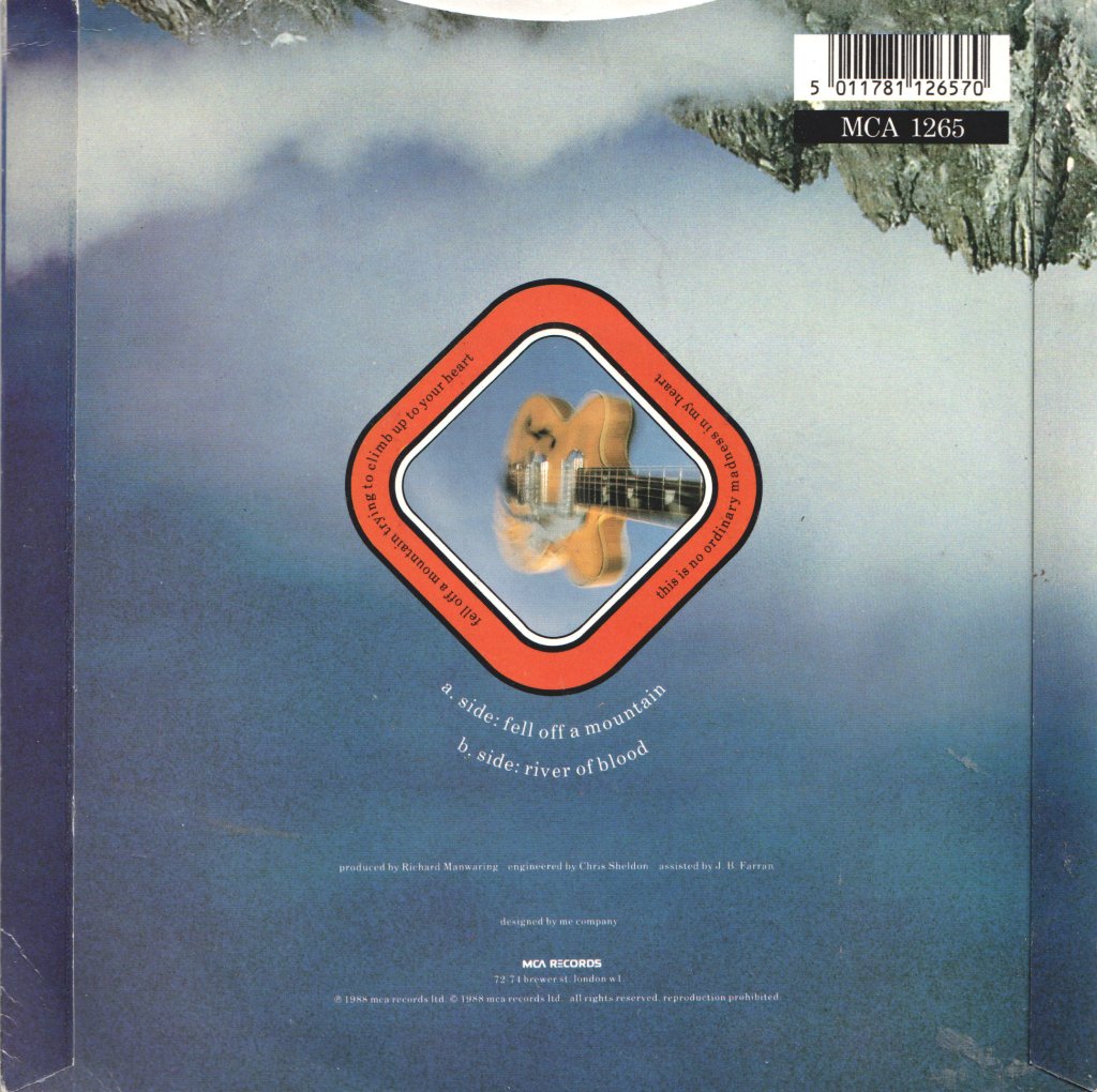 Big Bam Boo - Fell Off A Mountain - 7 Inch