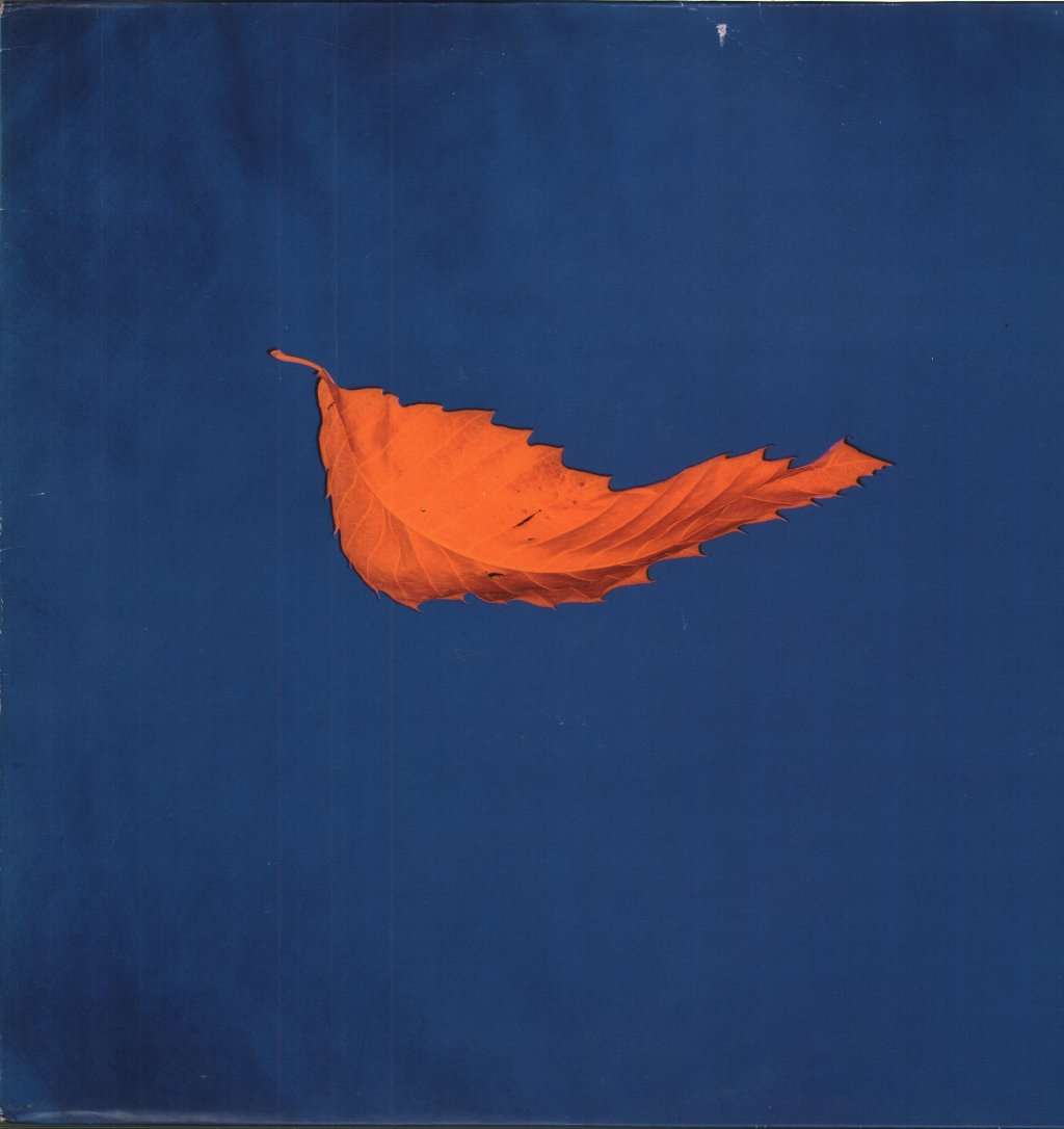 New Order - True Faith / 1963 - 12 Inch