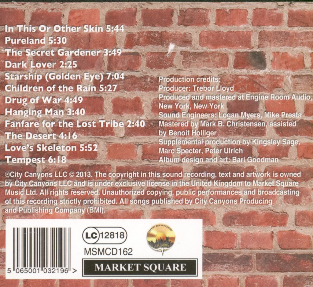 Peter Ulrich Collaboration - Painted Caravan - Cd