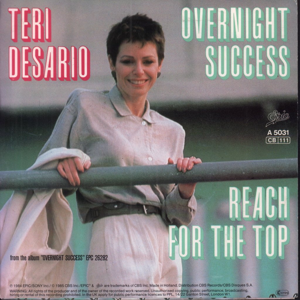 Teri Desario - Overnight Success - 7 Inch