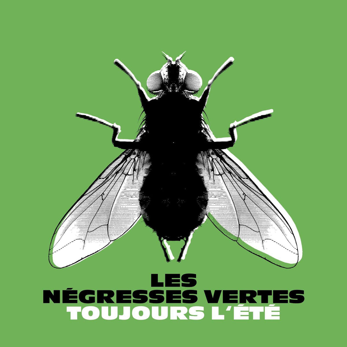 Les Negresses Vertes - Toujours L'ete - Lp
