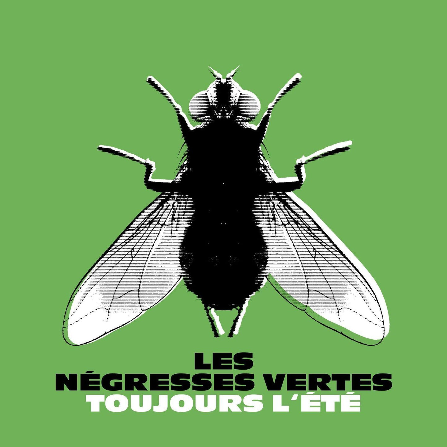 Les Negresses Vertes - Toujours L'ete - Lp