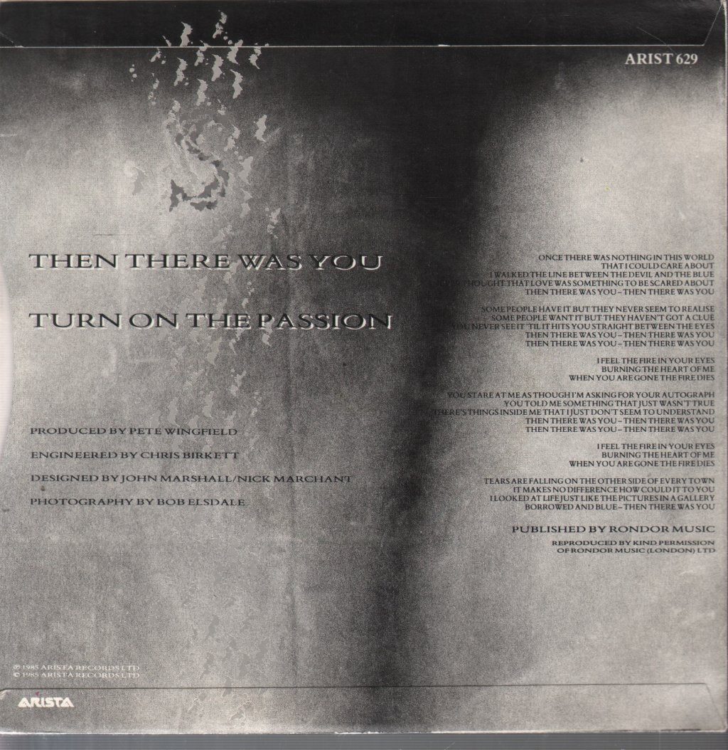 Steven Ross - Then There Was You - 7 Inch