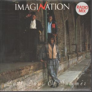Imagination (80'S Pop Group) - Last Days Of Summer - 7 Inch