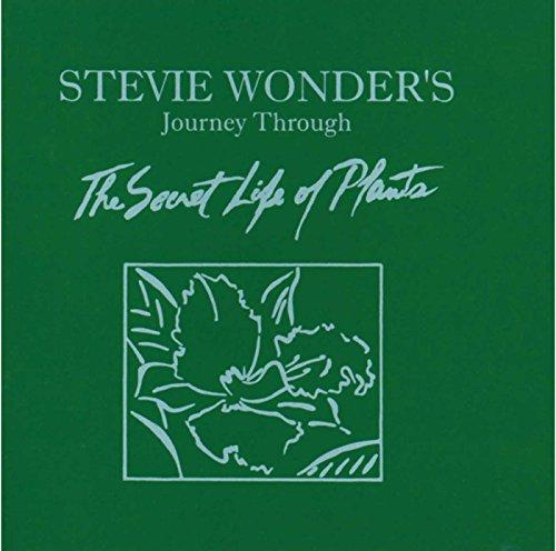 Stevie Wonder - Journey Through the Secret Life of Plants - Double Cd