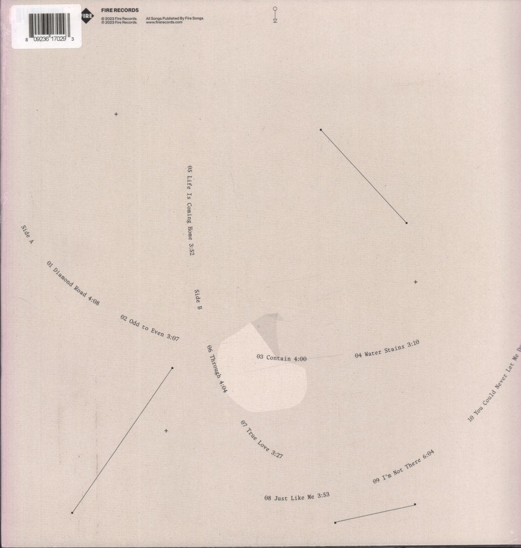 Amber Arcades - Barefoot On Diamond Road - Lp – Vinyl Tap