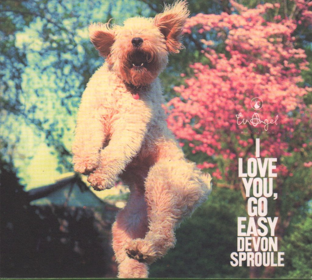 Devon Sproule - I Love You, Go Easy - Cd
