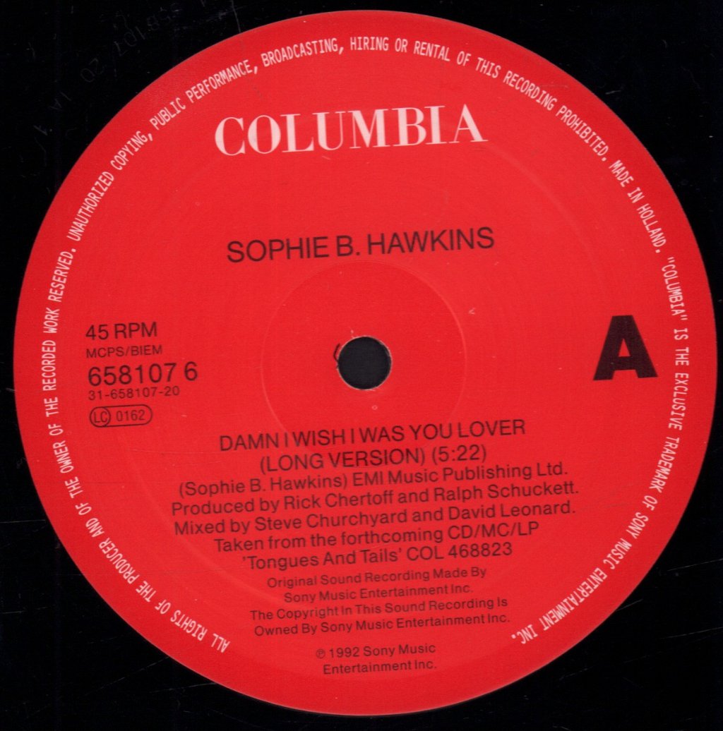 Sophie B Hawkins - Damn I Wish I Was Your Lover - 12 Inch