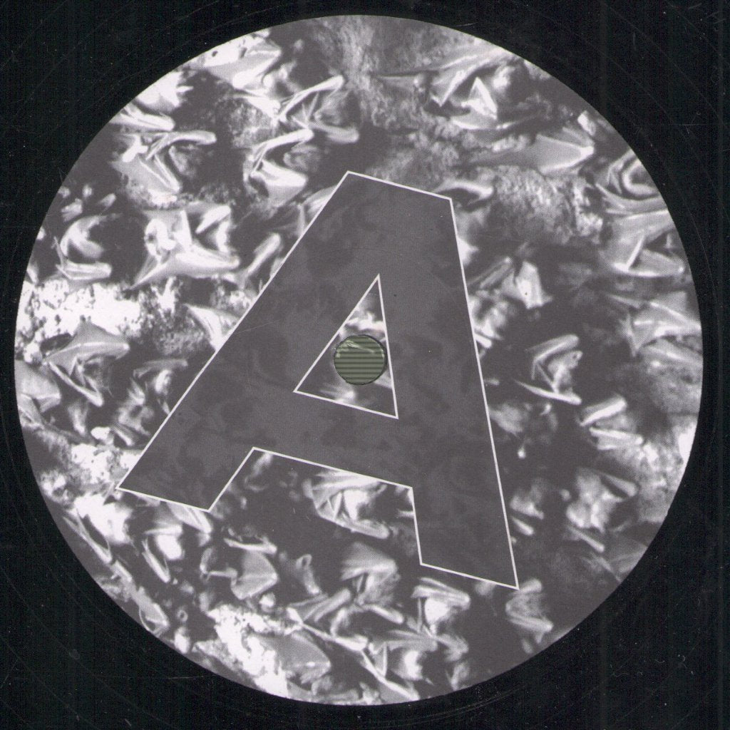 Scheer - Wish You Were Dead - 12 Inch