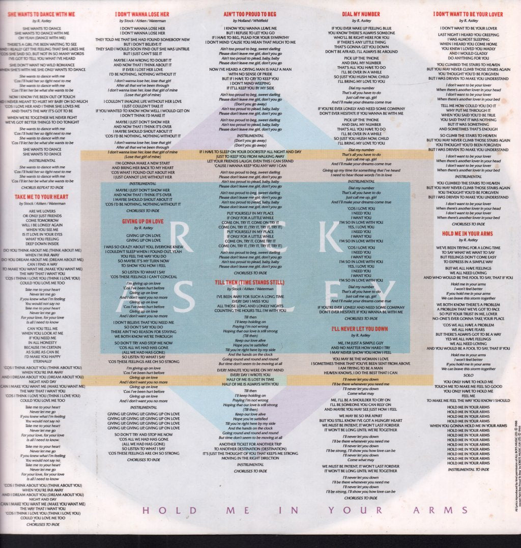 Rick Astley - Hold Me In Your Arms - Lp