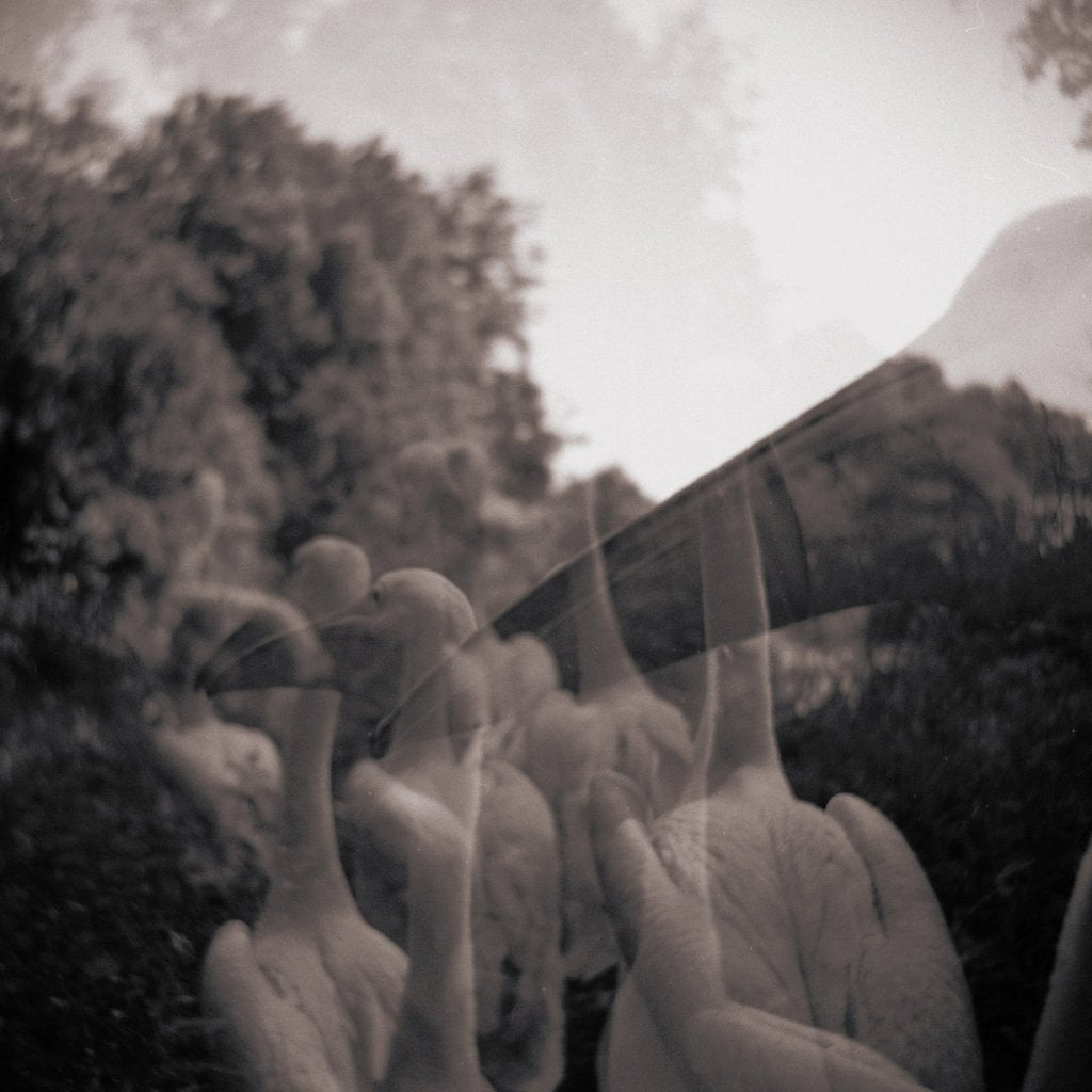 IAN - Come On Everybody, Let's Do Nothing! - Lp