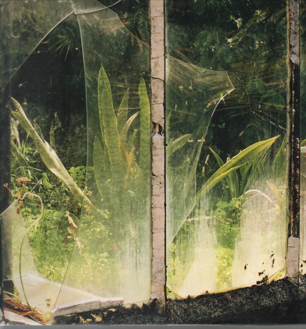 Bajram Bili - Reshaped Distortion - 12 Inch