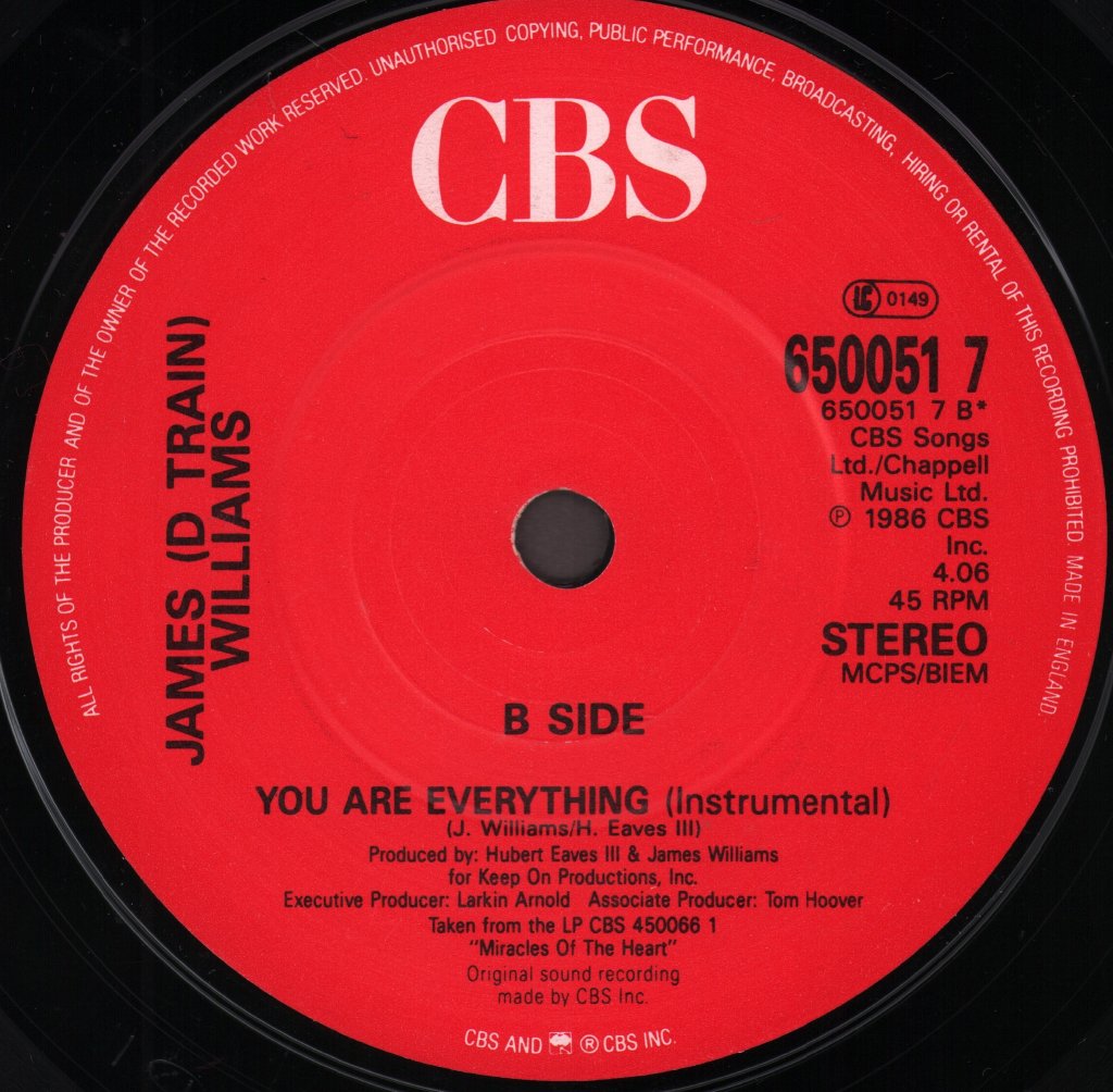 James D Train Williams - You Are Everything - 7 Inch