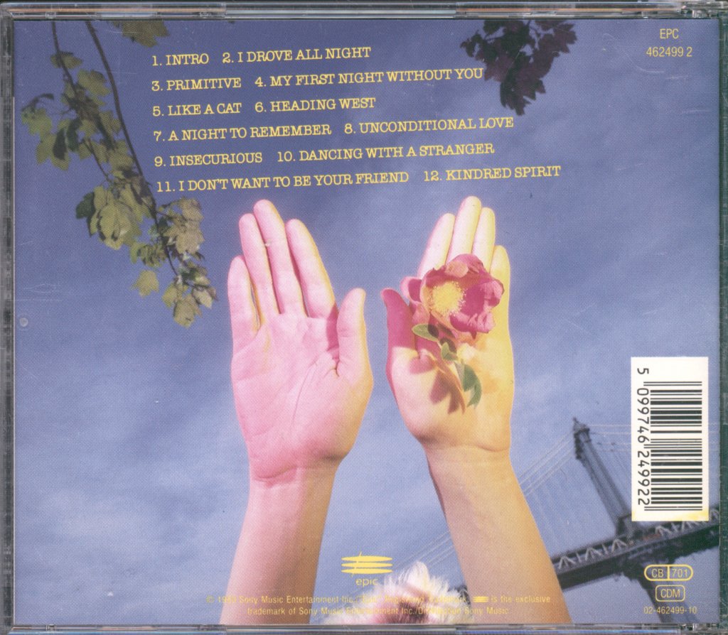 Cyndi Lauper - A Night To Remember - Cd