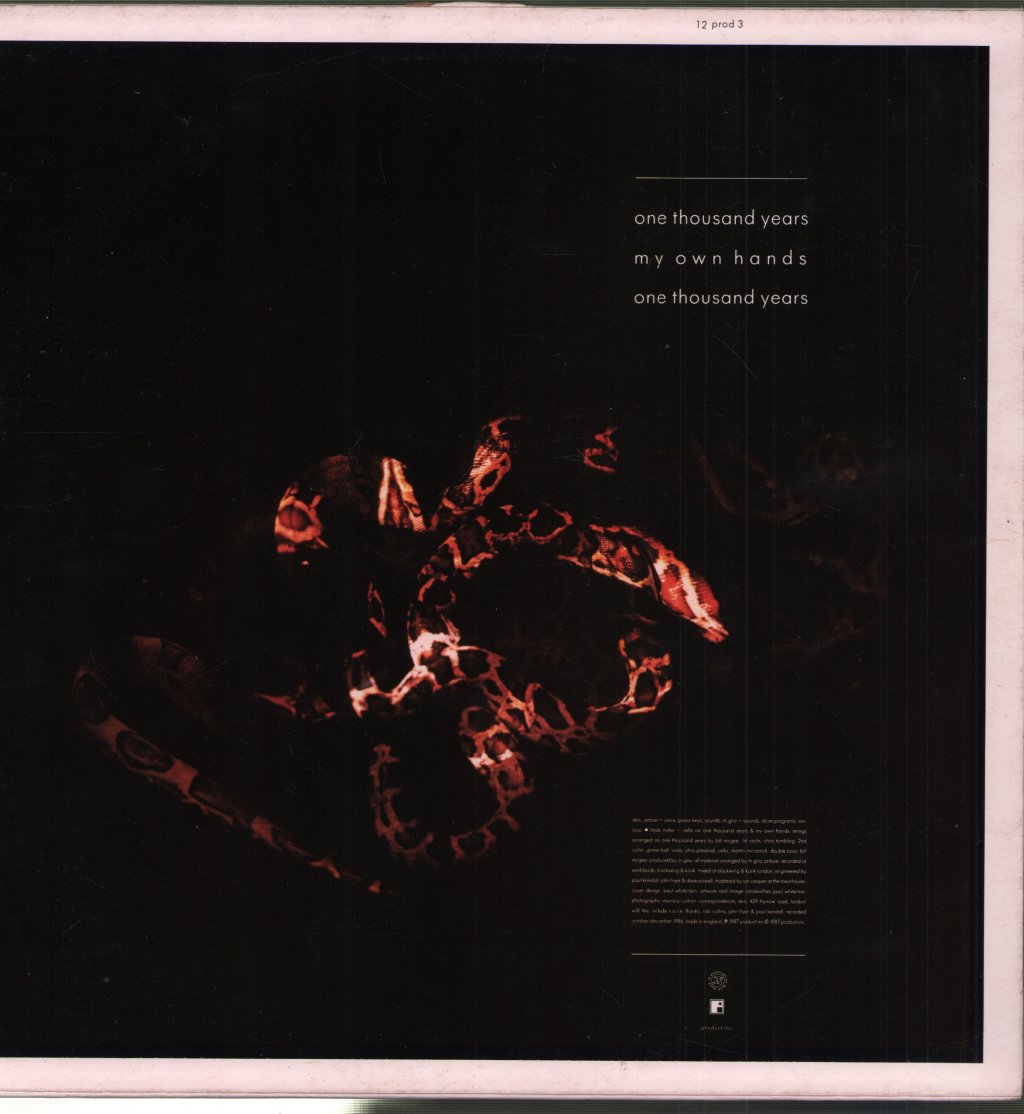 Skin (80'S Industrial Group) - One Thousand Years - 12 Inch