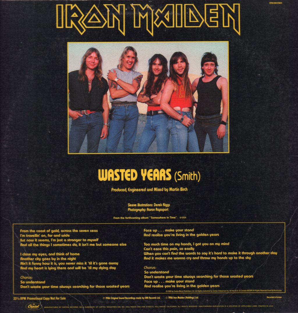 Iron Maiden - Wasted Years - 12 Inch