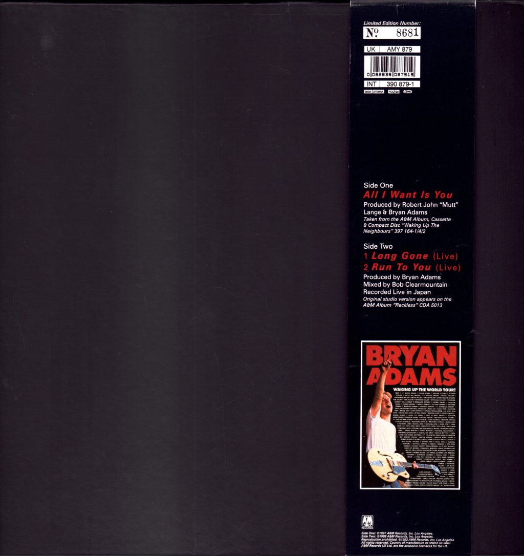 Bryan Adams - All I Want Is You - 12 Inch