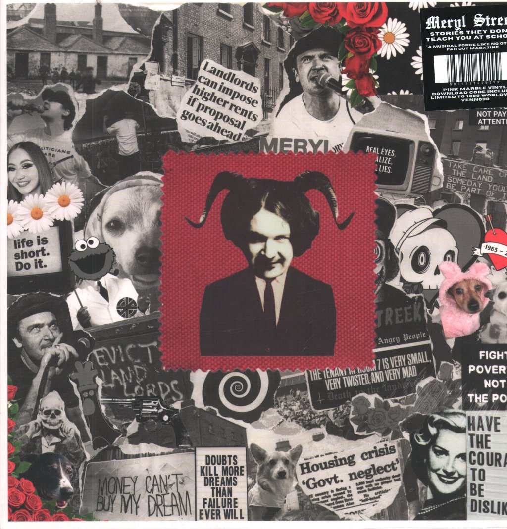 Meryl Streek - Stories They Don't Teach You At School - Lp