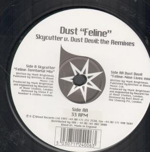 Dust (Dance) - Skycutter - 12 Inch