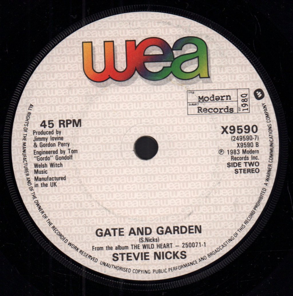 Stevie Nicks - If Anyone Falls - 7 Inch