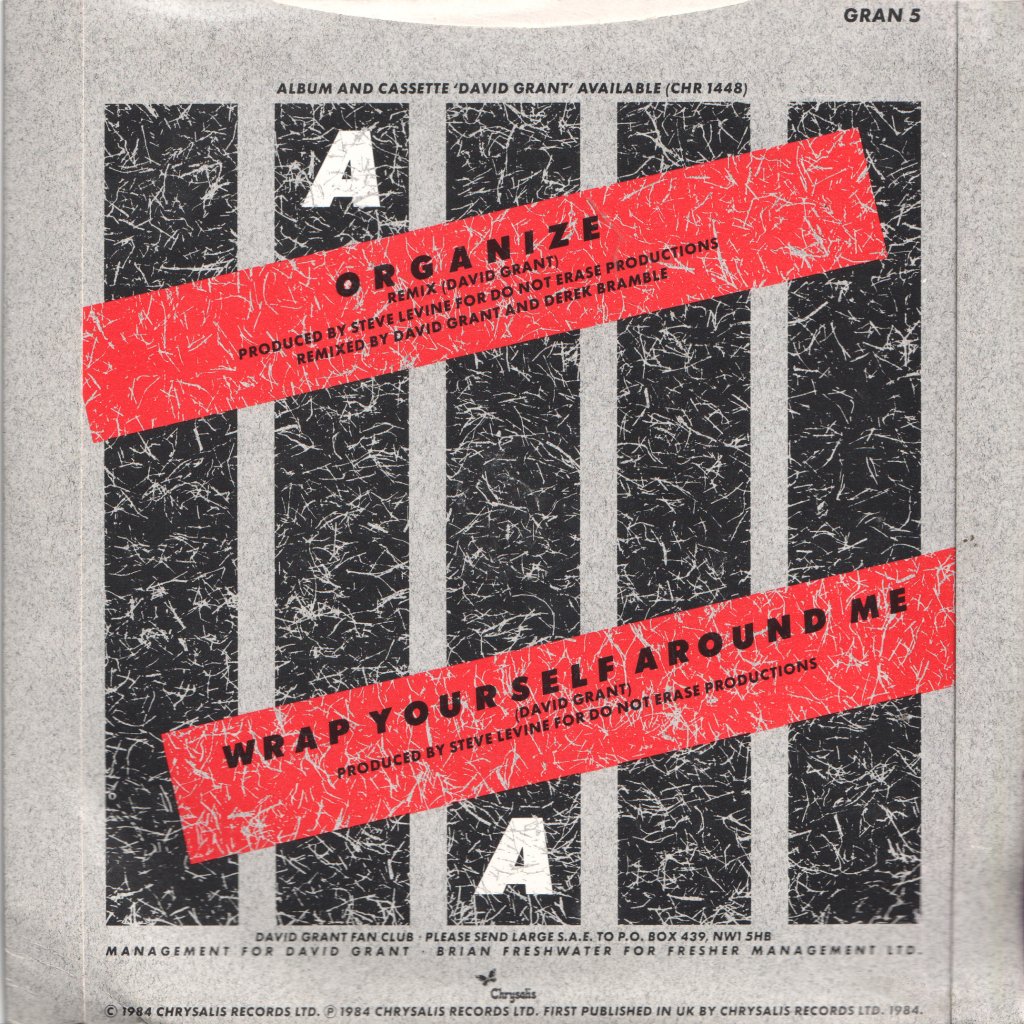 David Grant - Organize - 7 Inch