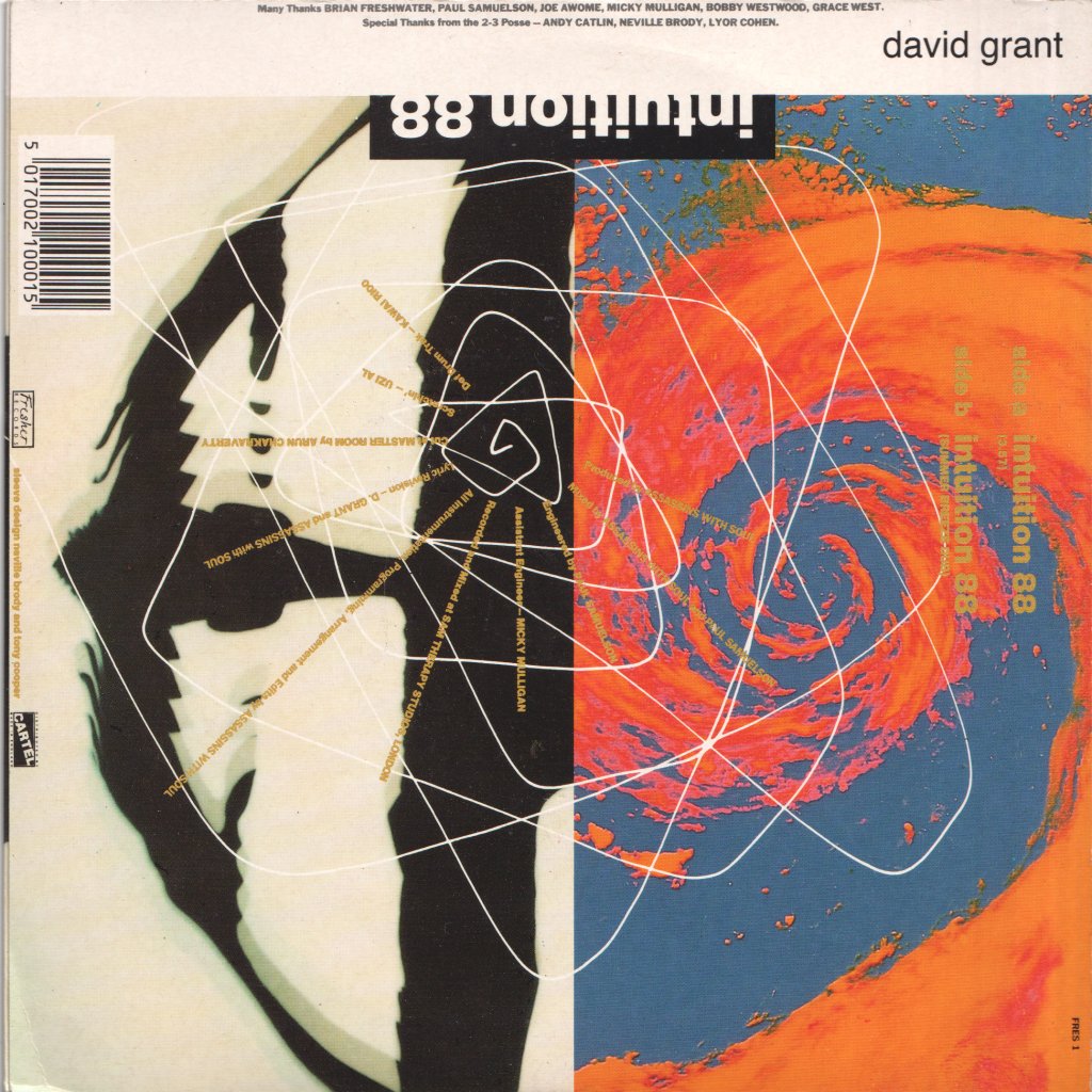 David Grant - Intuition 88 - 7 Inch