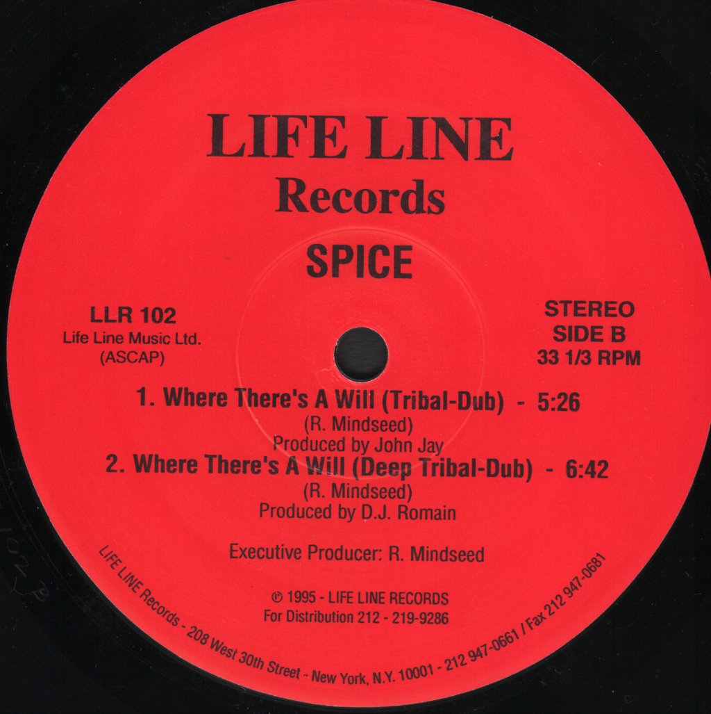 Spice (House) - Where There's A Will - 12 Inch