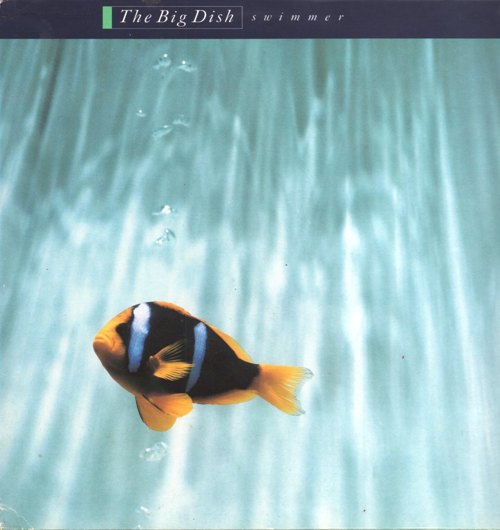 Big Dish - Swimmer - Lp