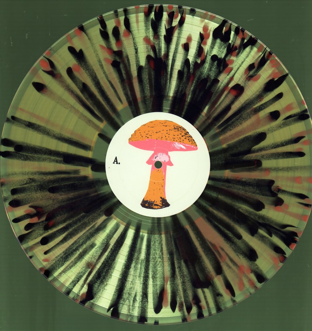 Cabbage - Amanita Pantherina - Lp