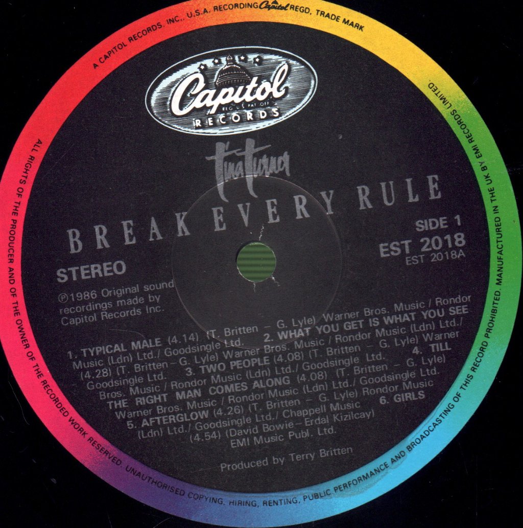 Tina Turner - Break Every Rule - Lp