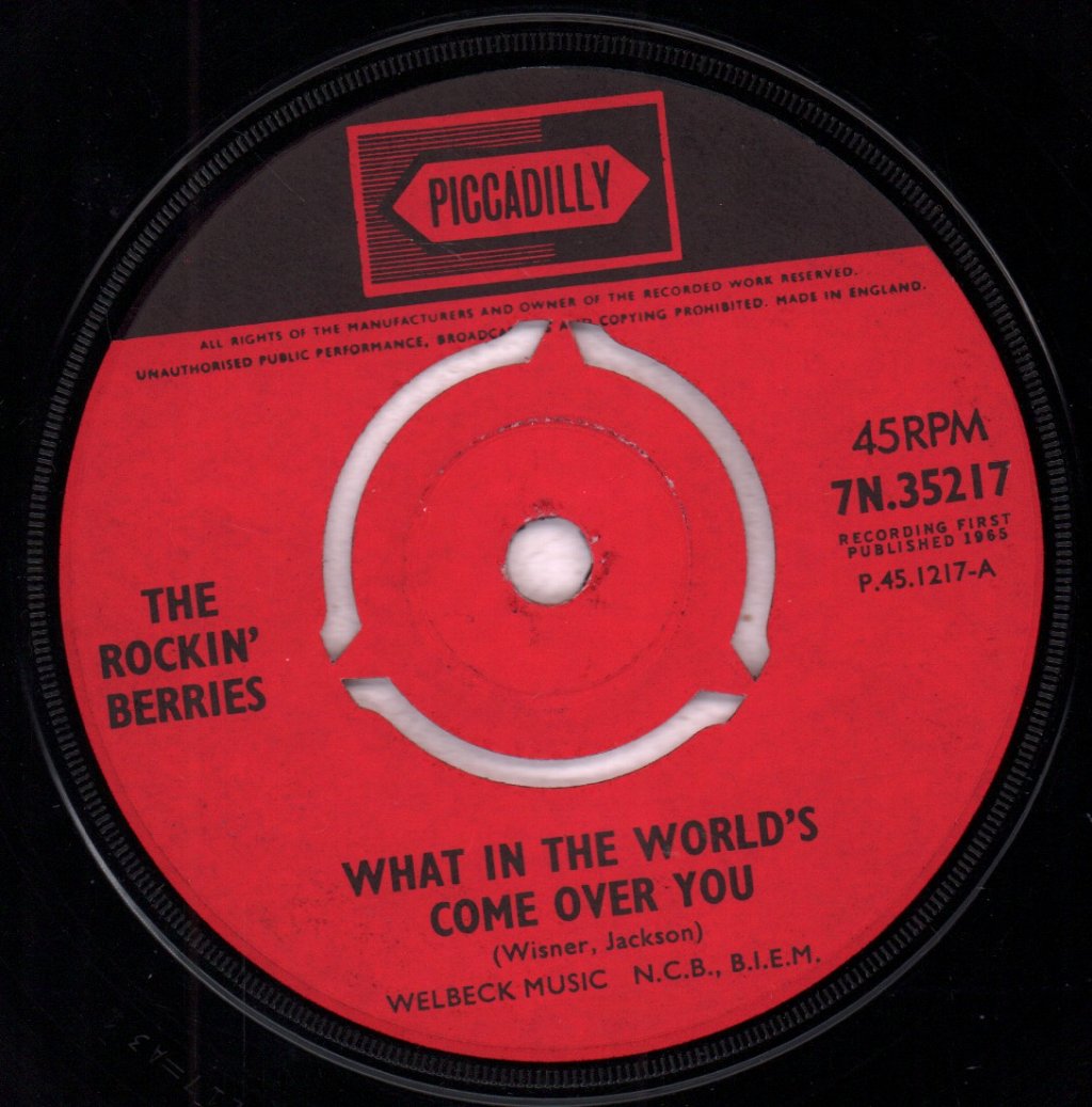Rockin' Berries - What In The World's Come Over You - 7 Inch