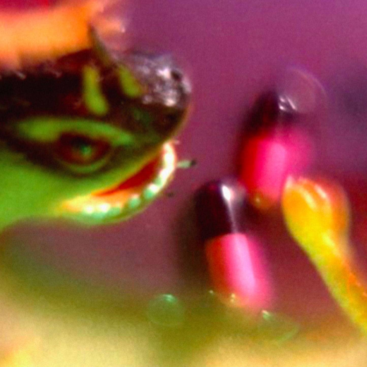 Bush Tetras - Take the Fall - Lp