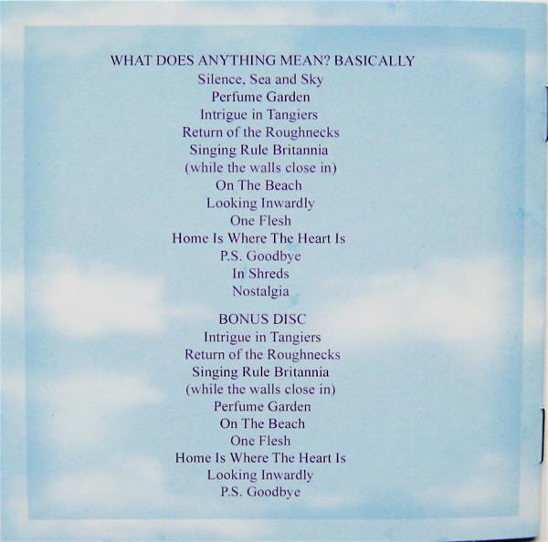 Chameleons - What Does Anything Mean Basically - Cd