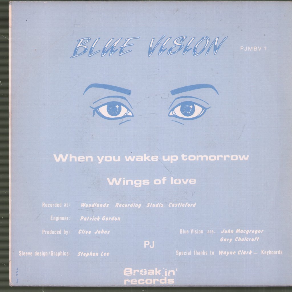 Blue Vision - When You Wake Up Tomorrow / Wings Of Love - 7 Inch