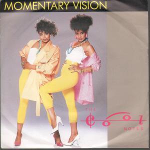 Cool Notes - Momentary Vision - 7 Inch