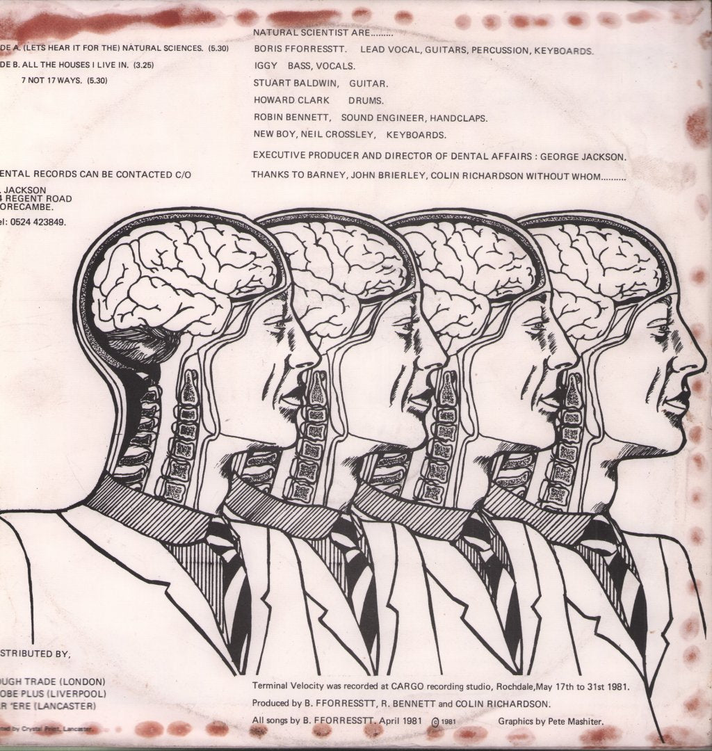 Natural Scientist - Terminal Velocity - 12 Inch