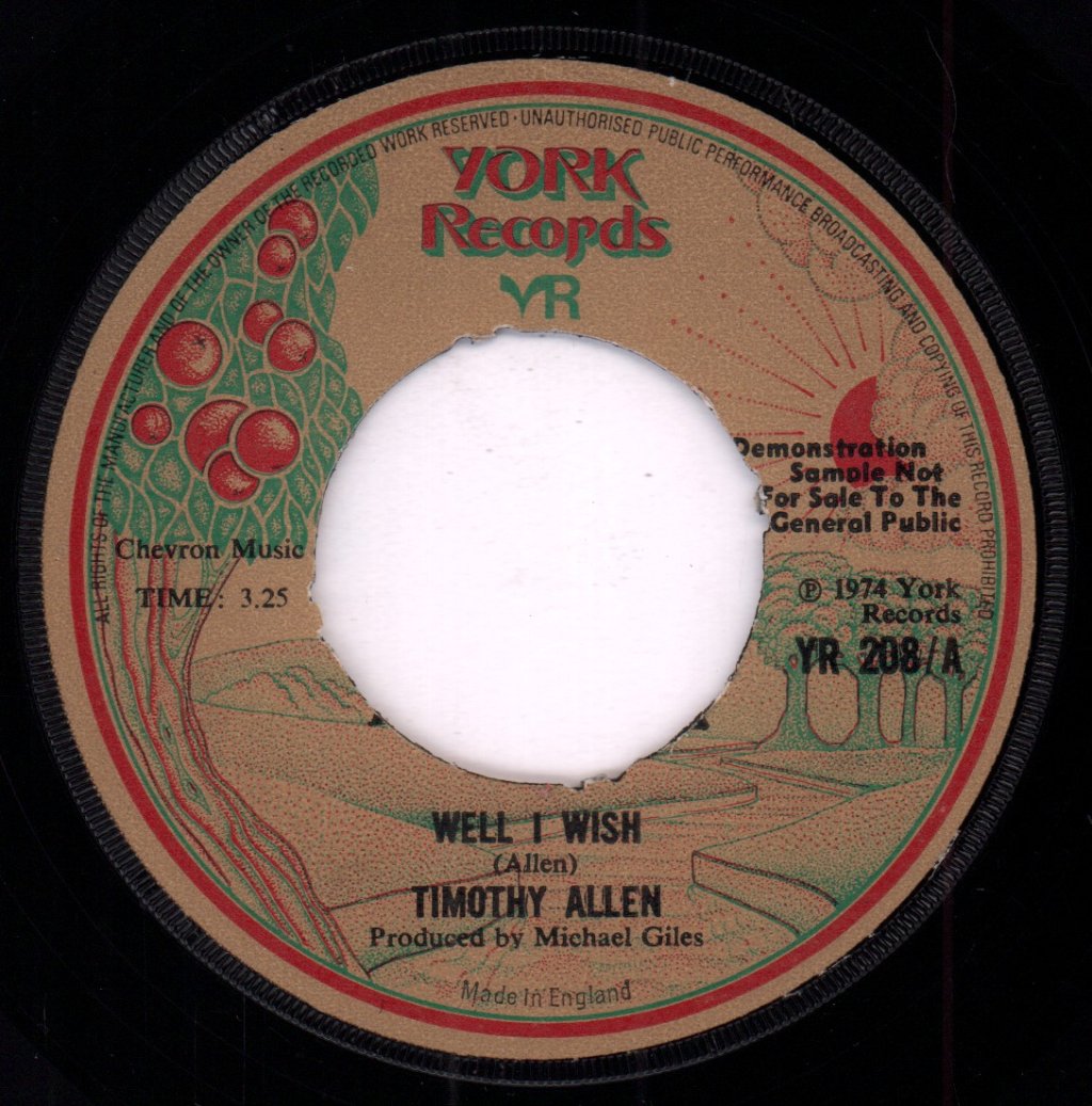 timothy allen - well i wish - 7 Inch