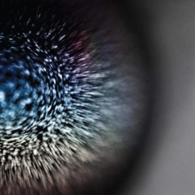 Emptyset - Blossoms - Lp